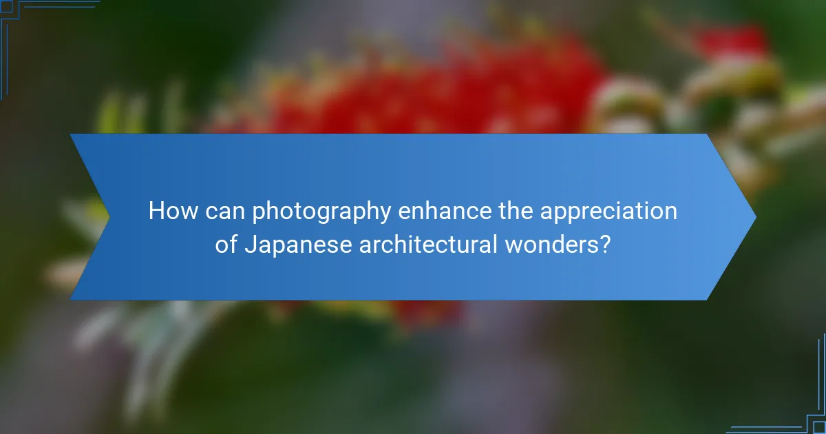 How can photography enhance the appreciation of Japanese architectural wonders?