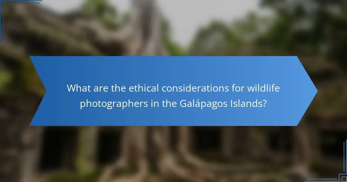 What are the ethical considerations for wildlife photographers in the Galápagos Islands?