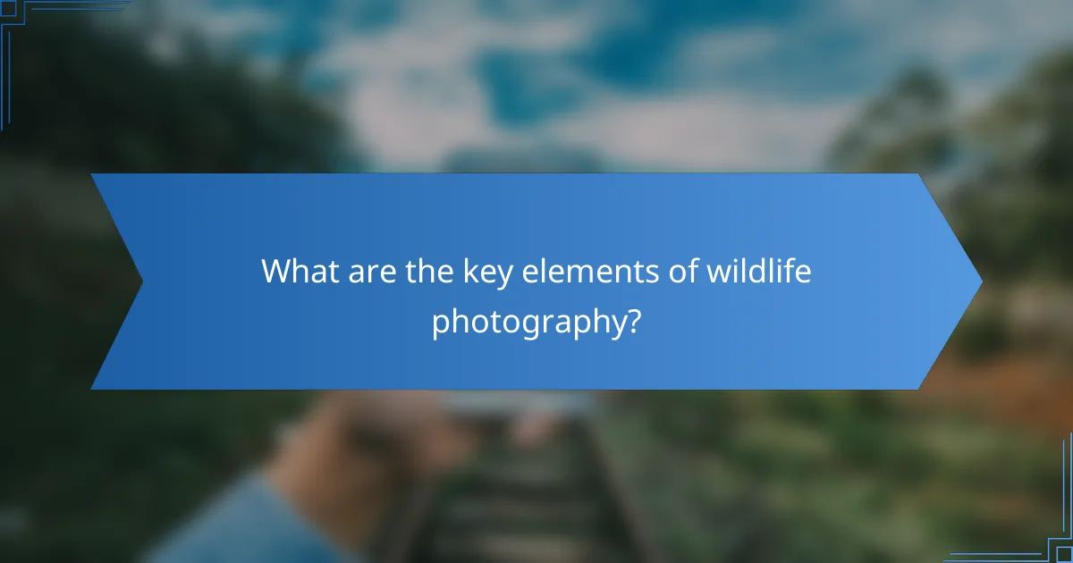 What are the key elements of wildlife photography?