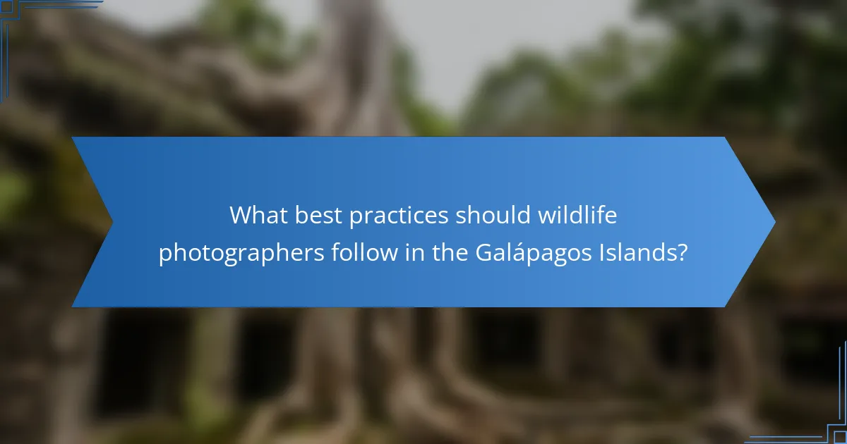 What best practices should wildlife photographers follow in the Galápagos Islands?