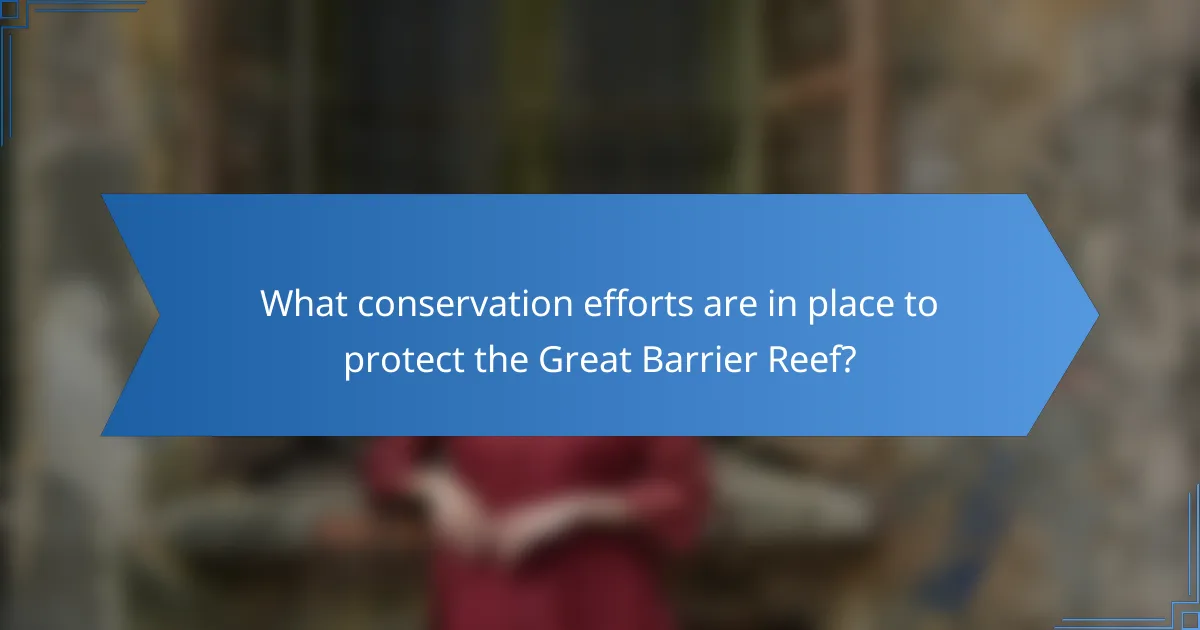 What conservation efforts are in place to protect the Great Barrier Reef?