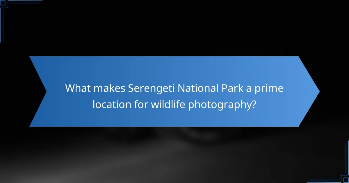 What makes Serengeti National Park a prime location for wildlife photography?