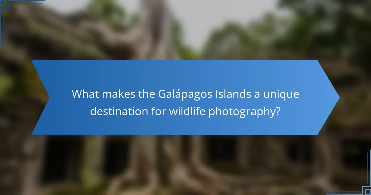 What makes the Galápagos Islands a unique destination for wildlife photography?