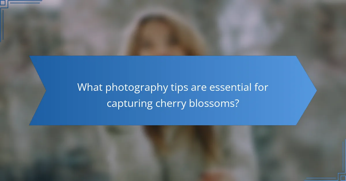 What photography tips are essential for capturing cherry blossoms?