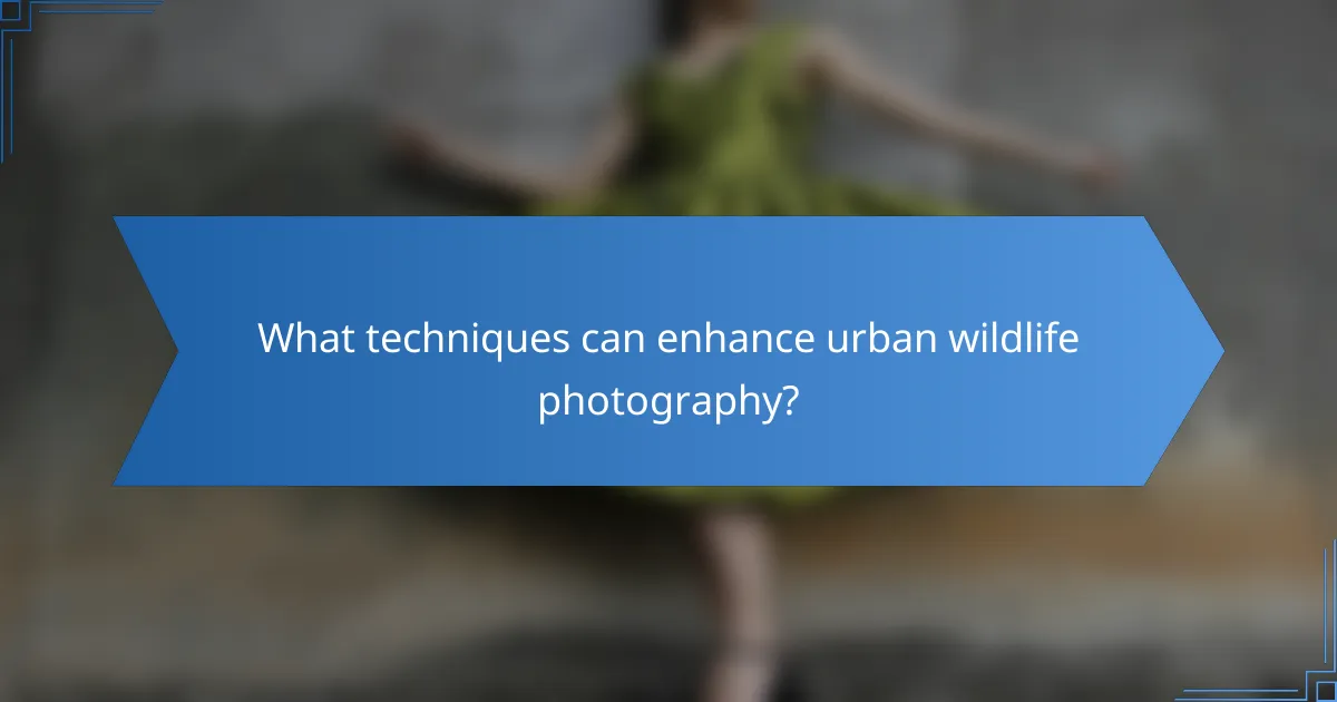 What techniques can enhance urban wildlife photography?