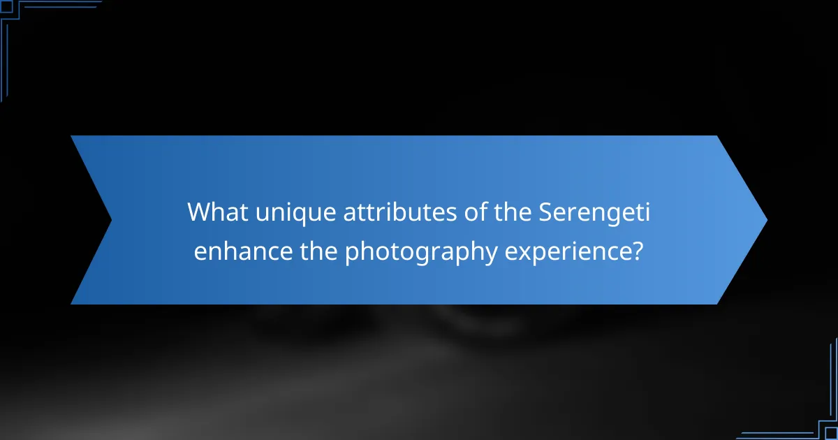 What unique attributes of the Serengeti enhance the photography experience?