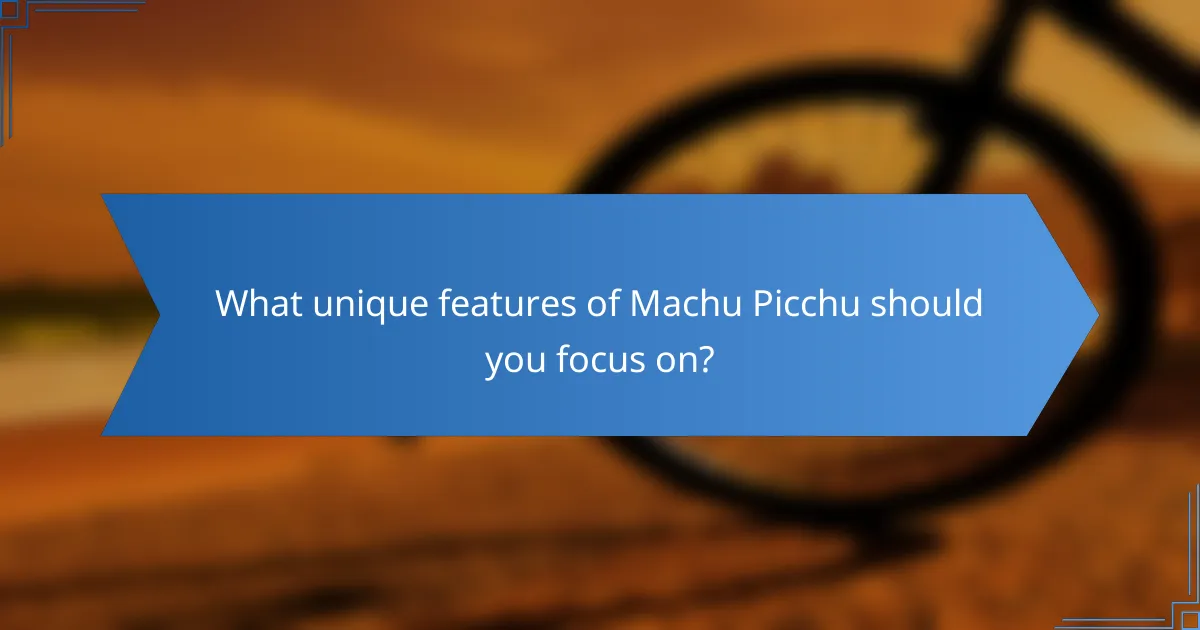 What unique features of Machu Picchu should you focus on?