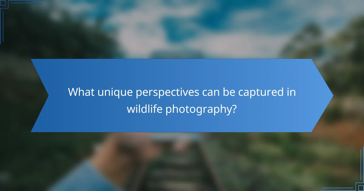 What unique perspectives can be captured in wildlife photography?