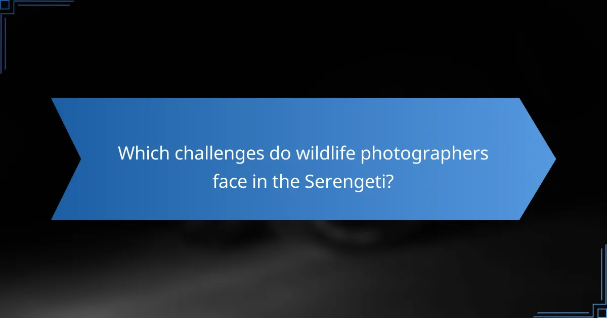 Which challenges do wildlife photographers face in the Serengeti?
