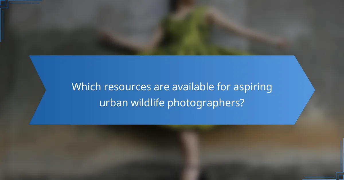 Which resources are available for aspiring urban wildlife photographers?